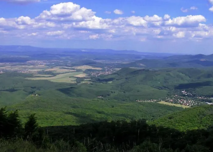 Nyaraló Sasvár